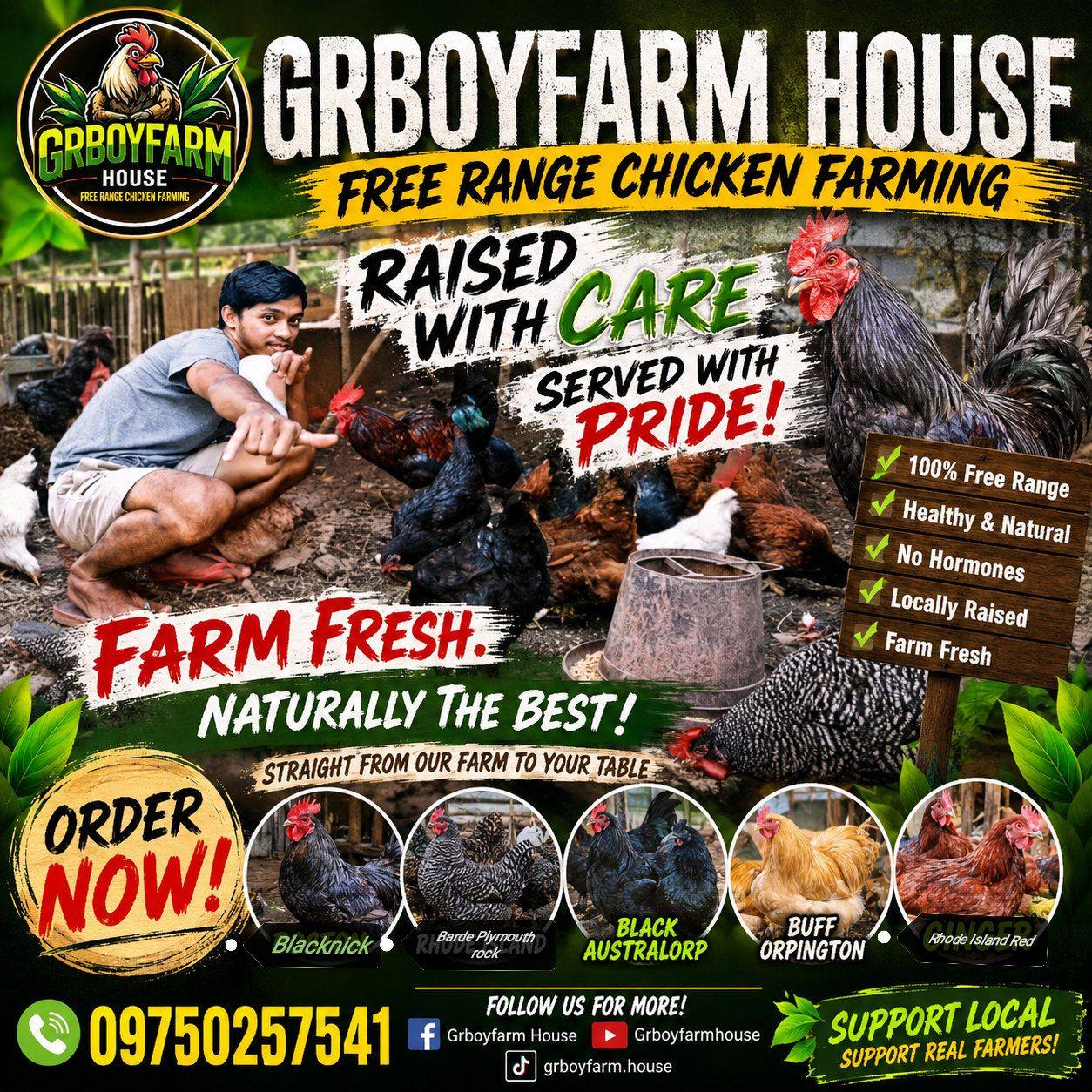 🐓🌿 WELCOME TO Grboyfarm House ! 🏡 ️Rhode Island Red | Dominante red 🌱 ...