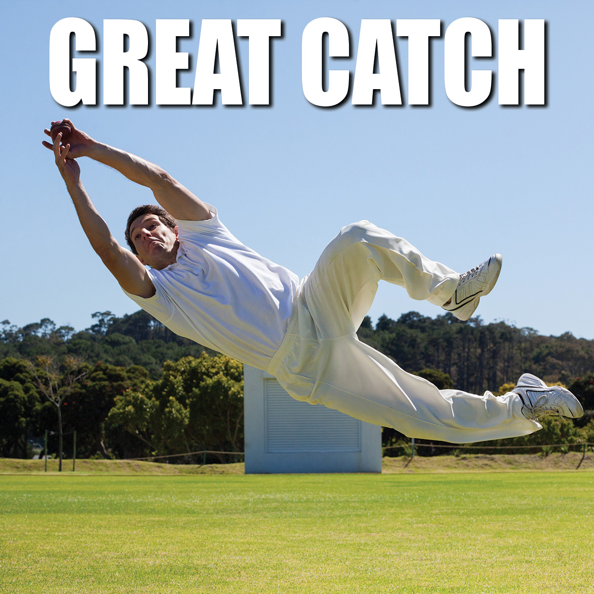 Who's the team mate you can... - Greg Chappell Cricket Centre | Facebook