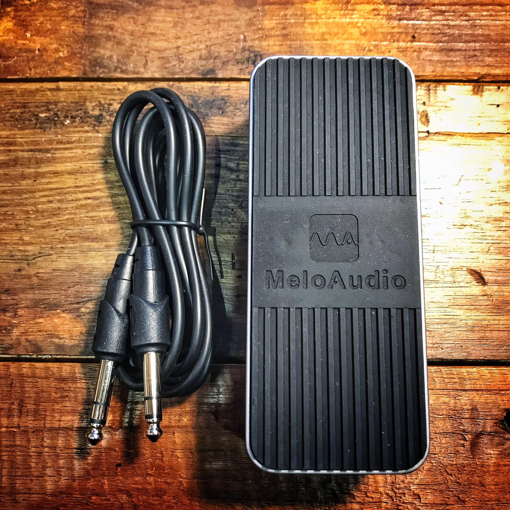 Meloaudio EXP-001 ギター