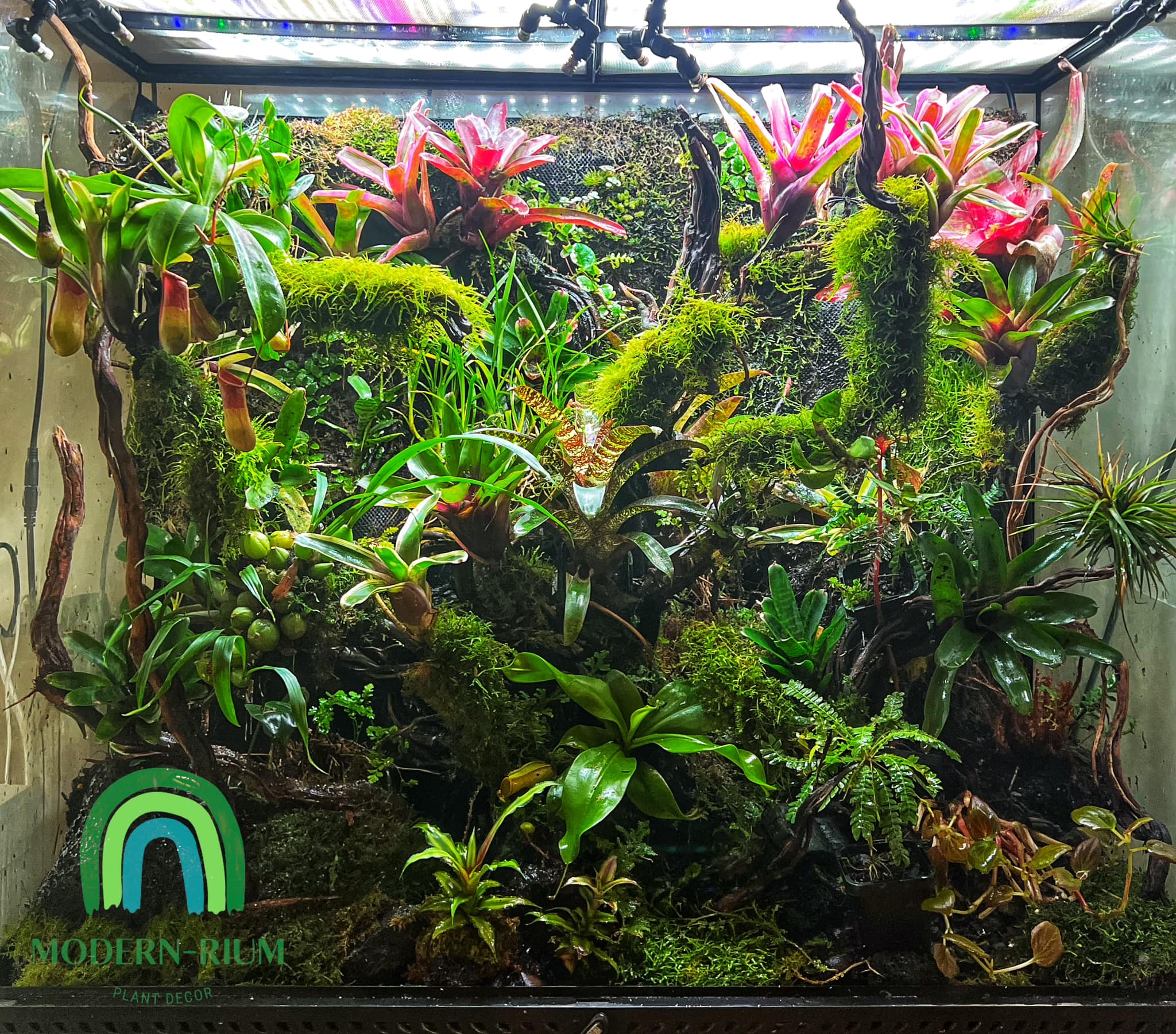Modern-rium - The display tank at our studio and is my... | Facebook
