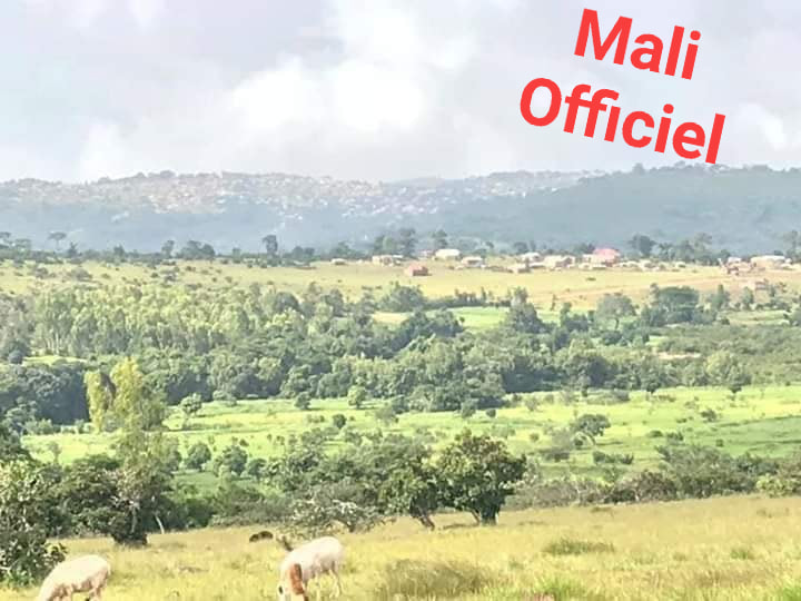 Ibrahima - #La_préfecture_de_Mali #Mali_Officiel Située au Nord de la ...