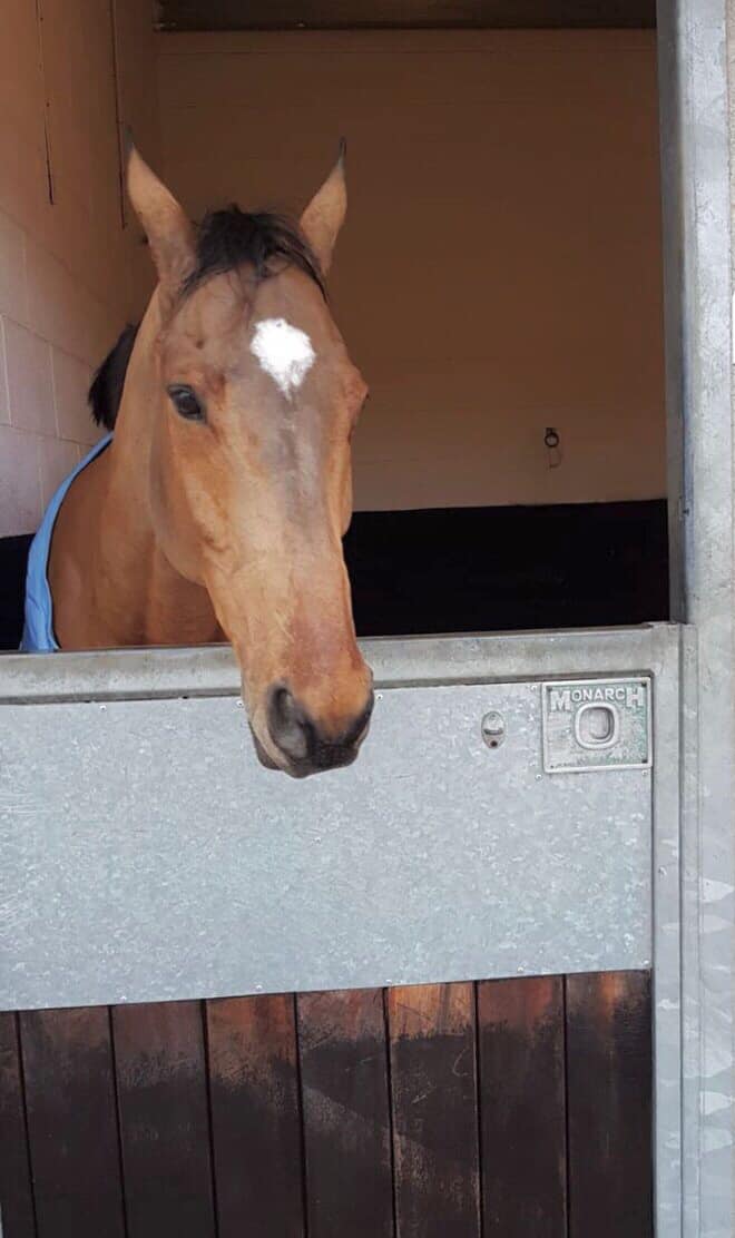 Stephen Hanlon Racing | Constable Burton