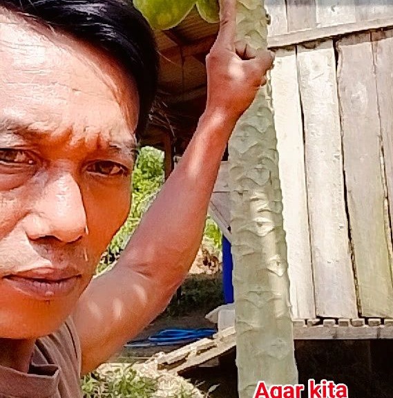 Wood cutting skiil #reelscuttingskiil #woodworking | Joko Maleno