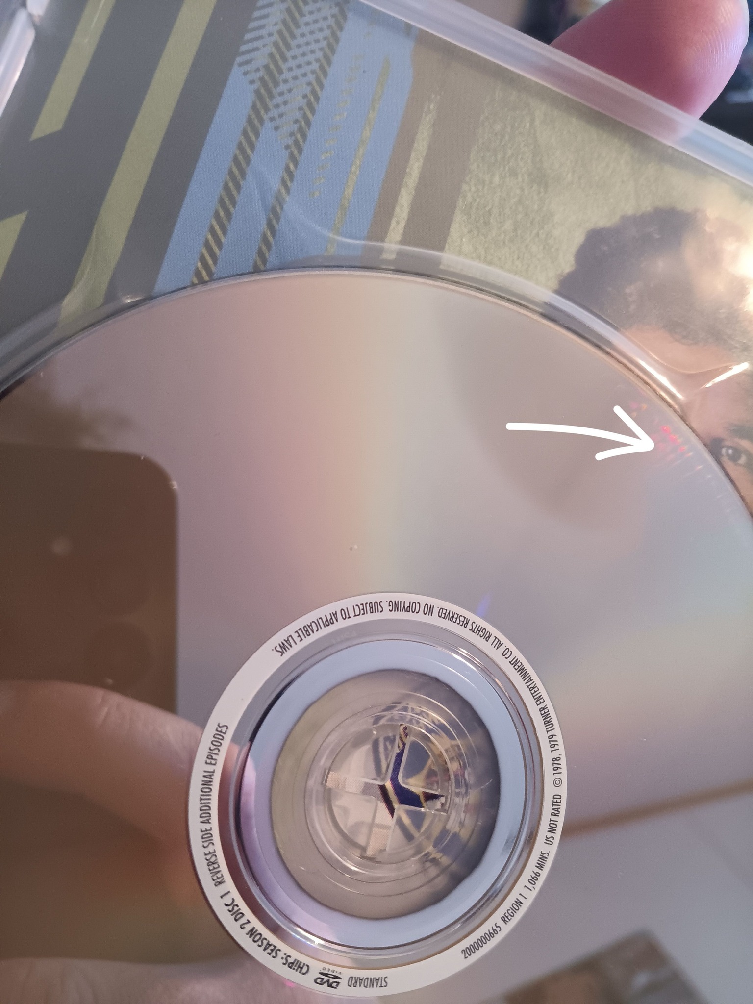 infamous disc rot , is this something alive ??
