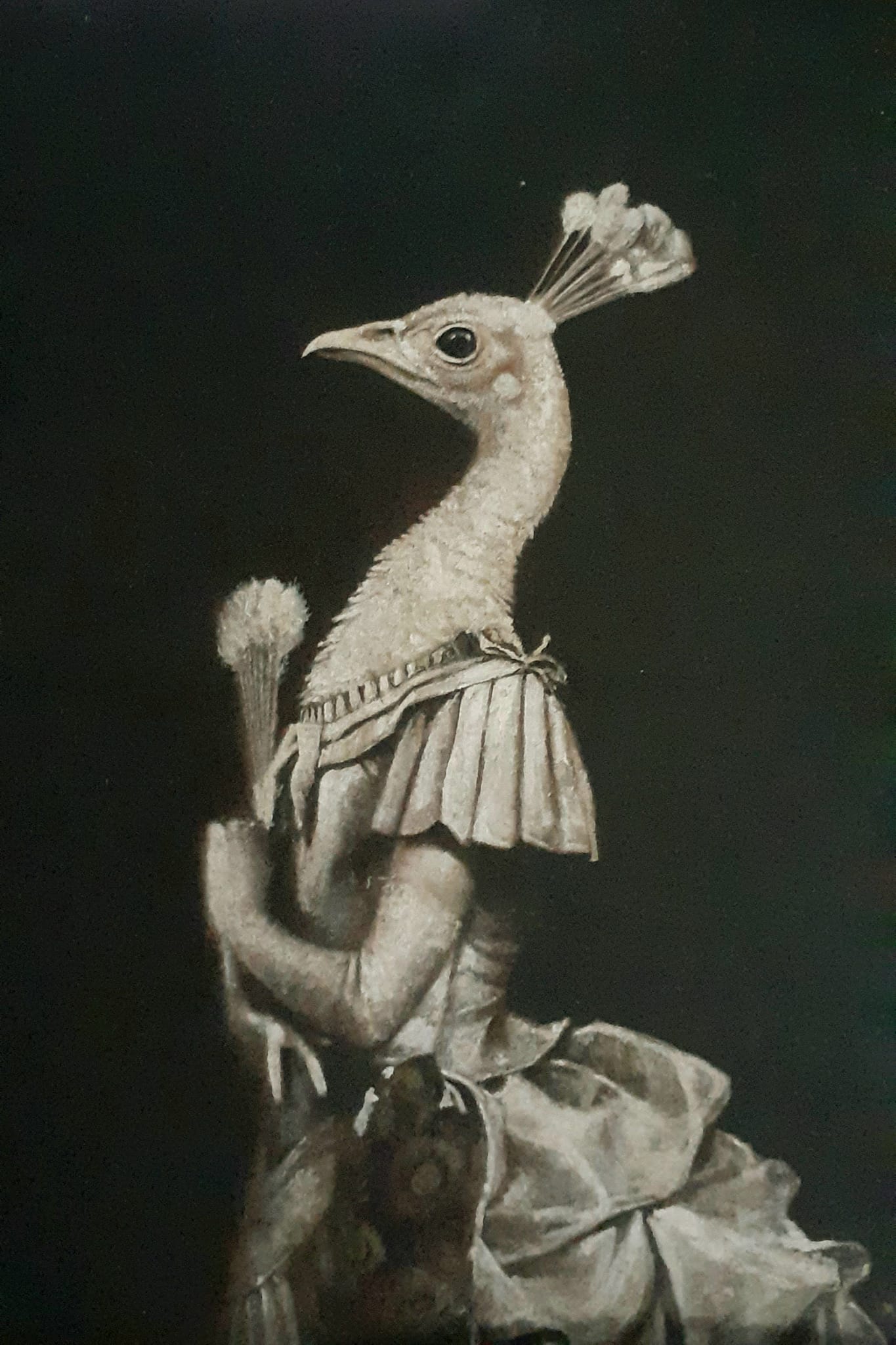 J. Hardy, 'Lady with peacock', etching and aquatint with hand