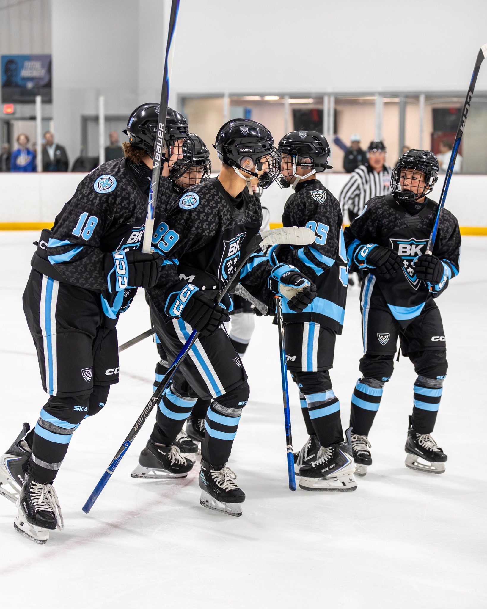 Rochester Ice