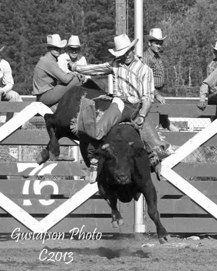 The Bull - Ronnie 