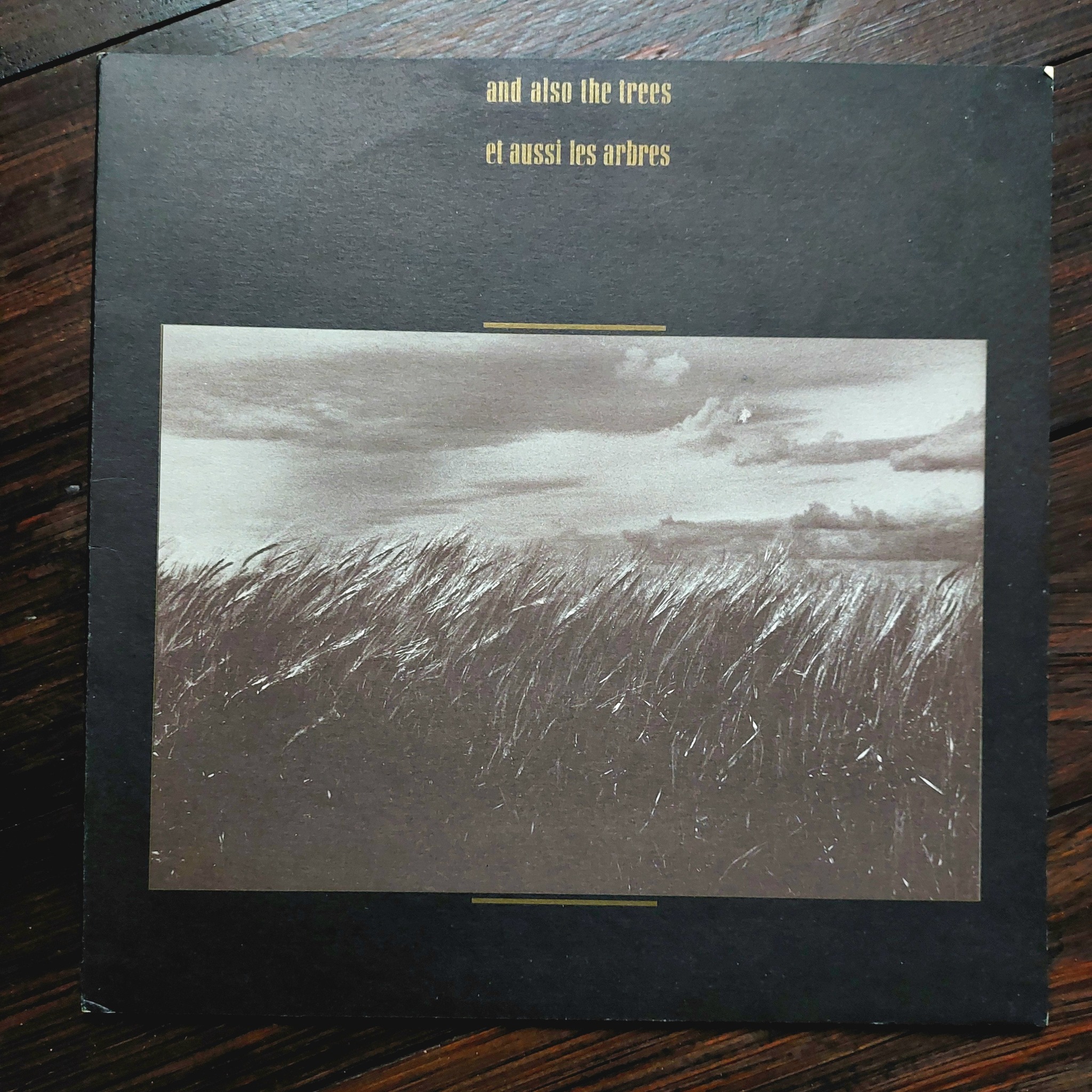 And Also The Trees – Et Aussi Les Arbres. (Lively Art, 1987)