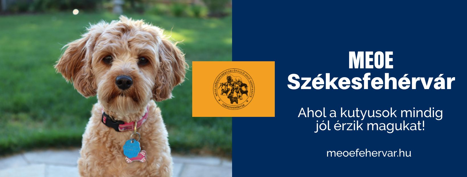 MEOE Székesfehérvár | Székesfehérvár