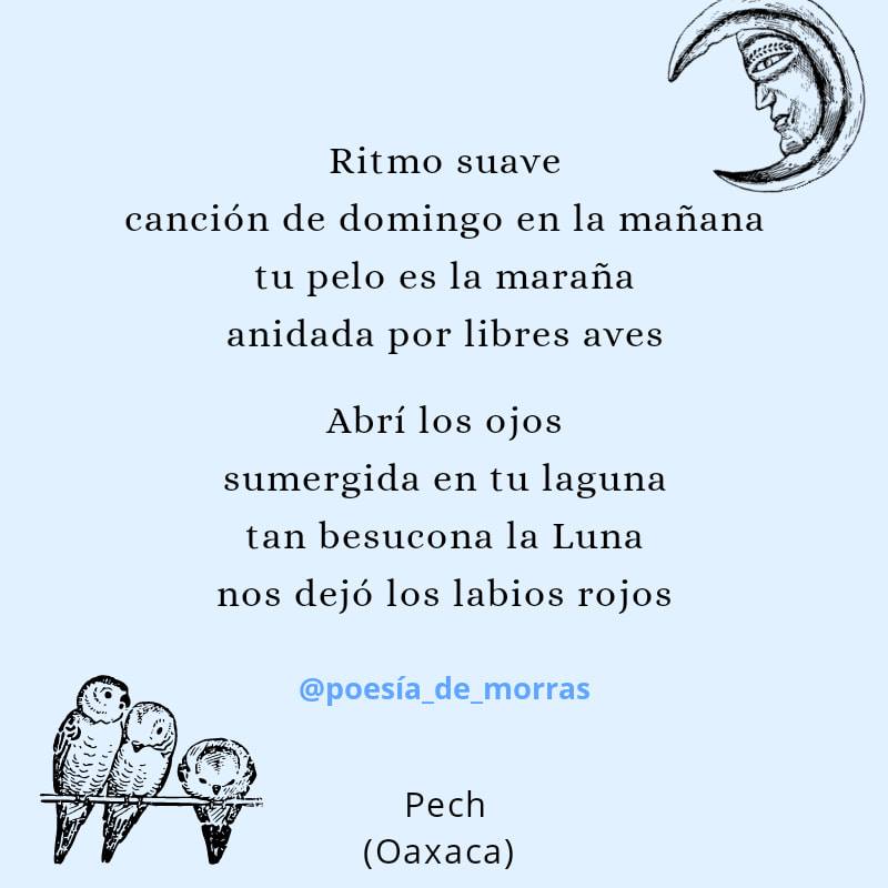 🐦 ¡Bonito poema! 🐦 Ritmo suave canción... - Poesía de morras