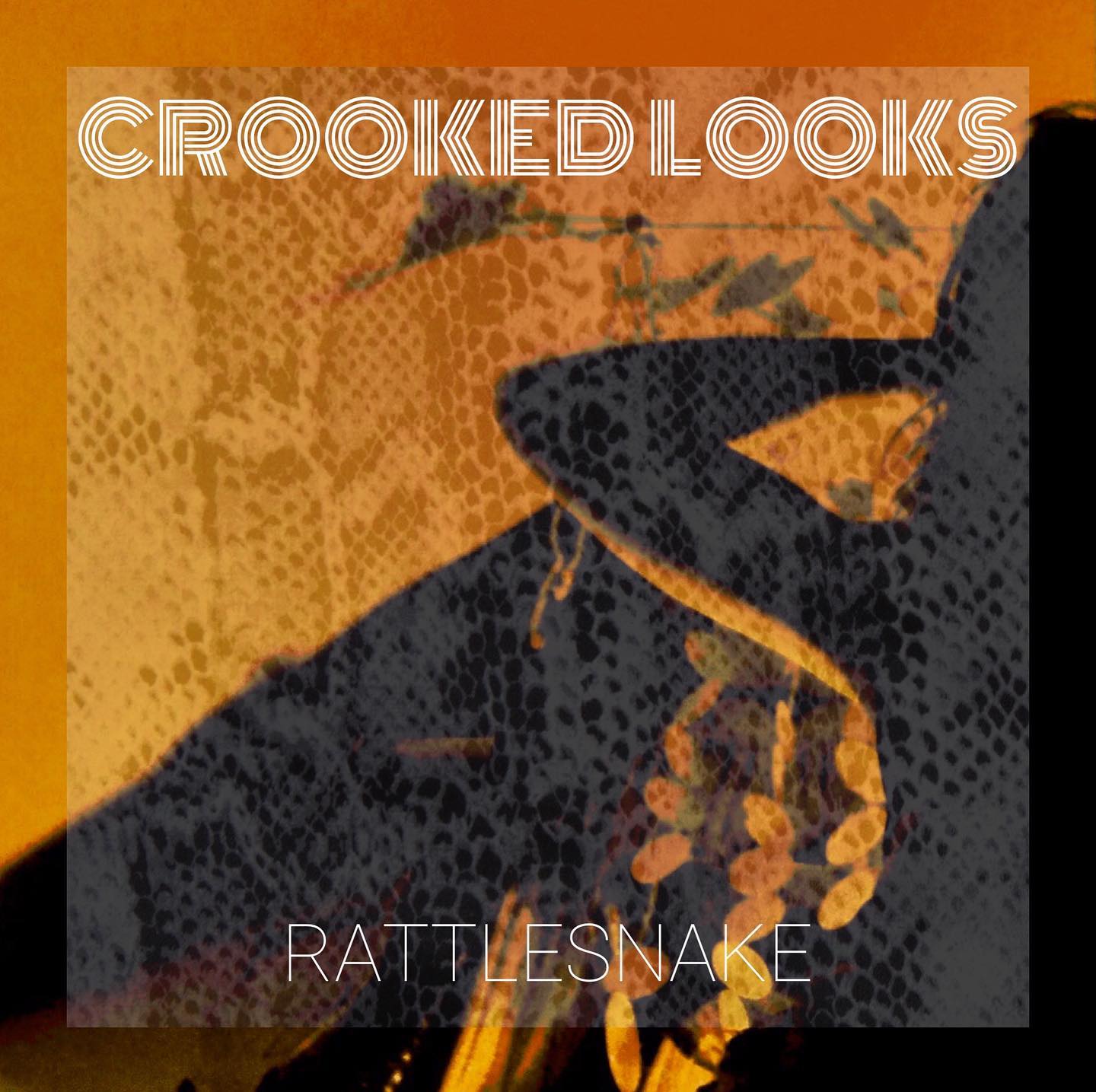 Crooked Looks - Our new single ‘Rattlesnake’ will be available for ...