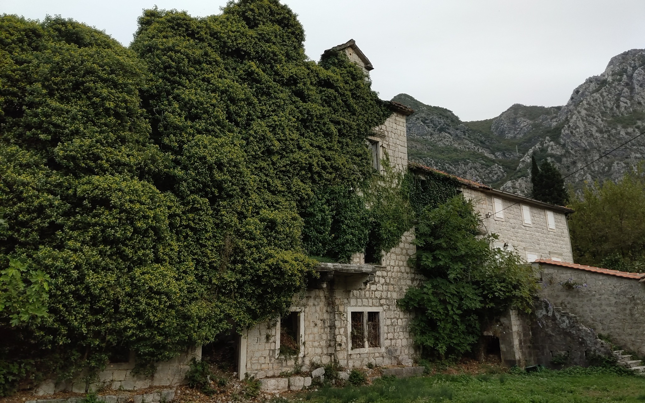 Opština RISAN | Risan je prelepij grad i po svojim romanticnim rusevima ...