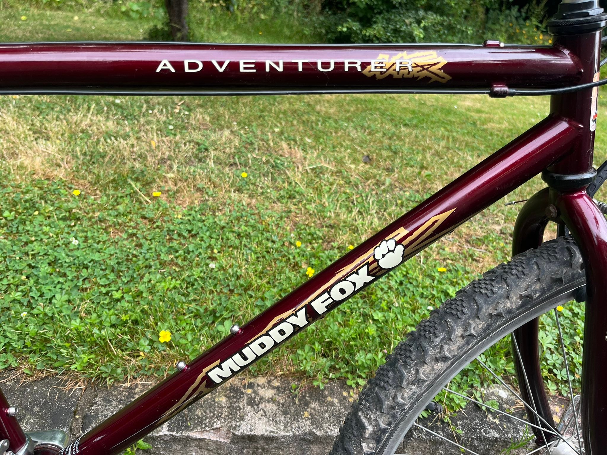 自転車 ARAYA, almost a year used Muddy fox
