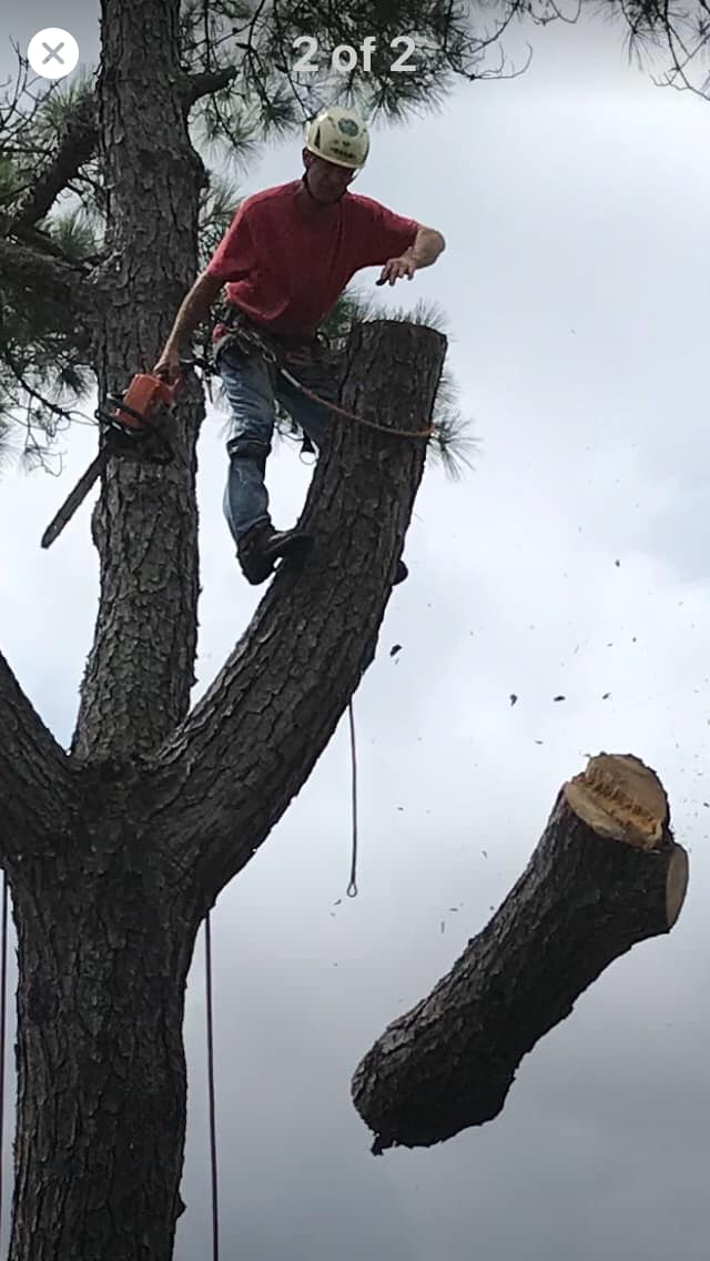 Boggan's Tree service | Waycross GA