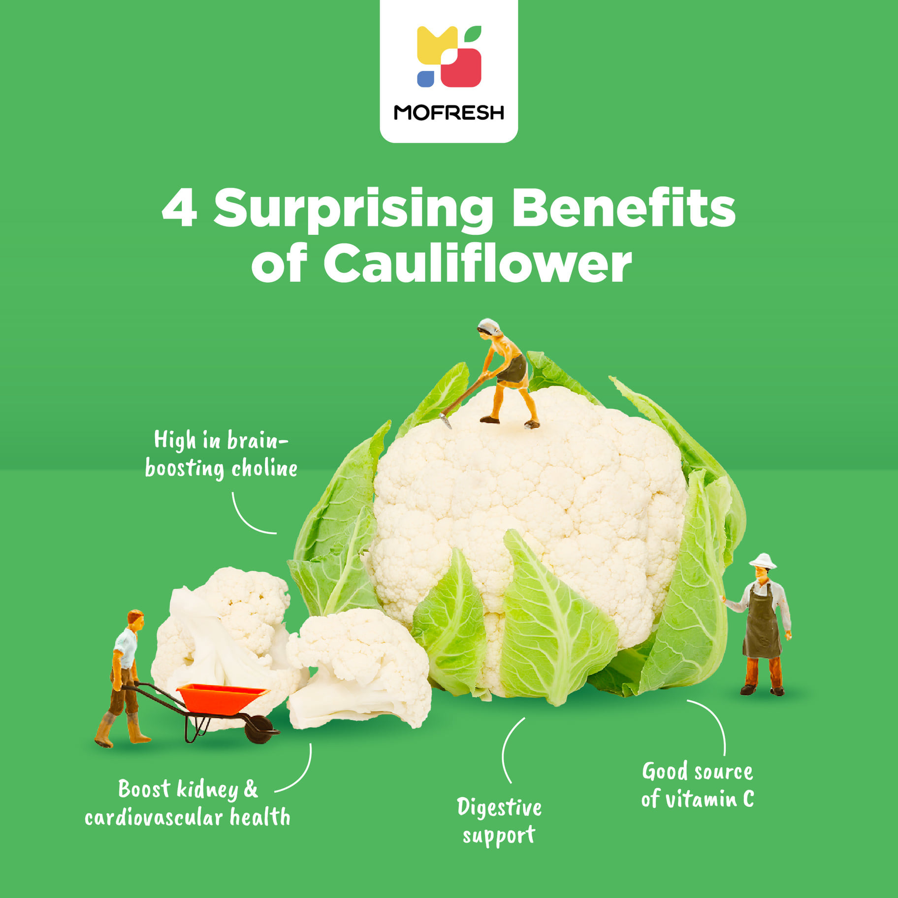 MoFresh - Cauliflower 🥦 is loaded with nutrients, is... | Facebook