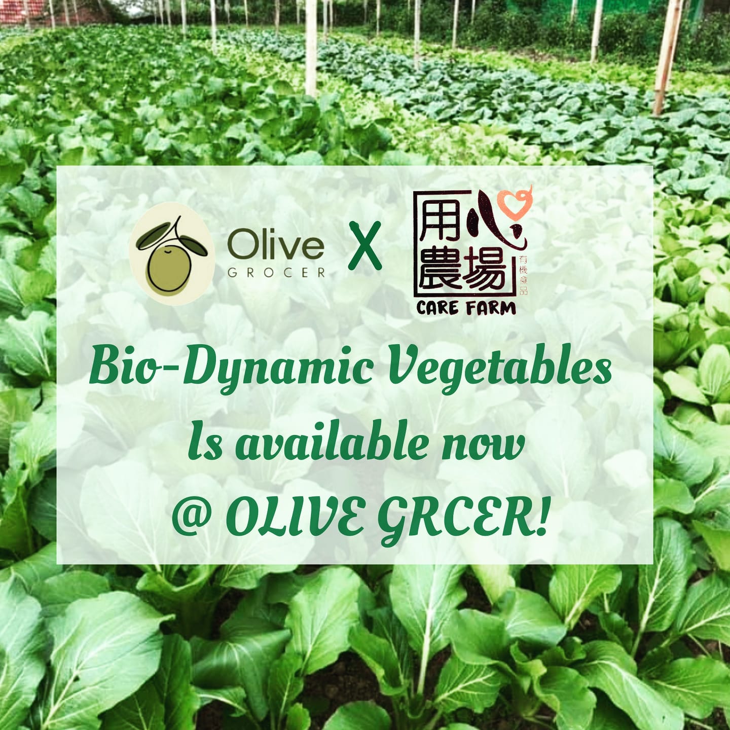 OLIVE Grocer - We proudly inform you That Bio-Dynamic... | Facebook