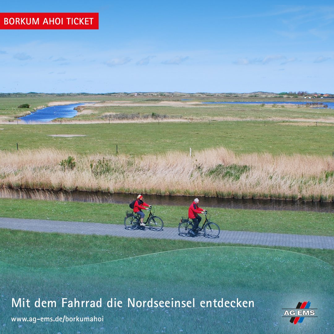 fahrradständer seitenständer TOPCABIN Fahrradständer, verstellbar, Aluminiumlegierung, Fahrrad- Seitenständer, passend für 55,9 cm, 61 cm, 66 cm, 71,1 cm Mountainbike/700 Rennrad/BMX/MTB (schwarz für 22-24-26-27-28 Zoll Fahrrad) Sport & Freizeit With pedal brake Display Board für Lego Servierwagen:Für Raskog vor 2025 (Innenmaß 40.5)