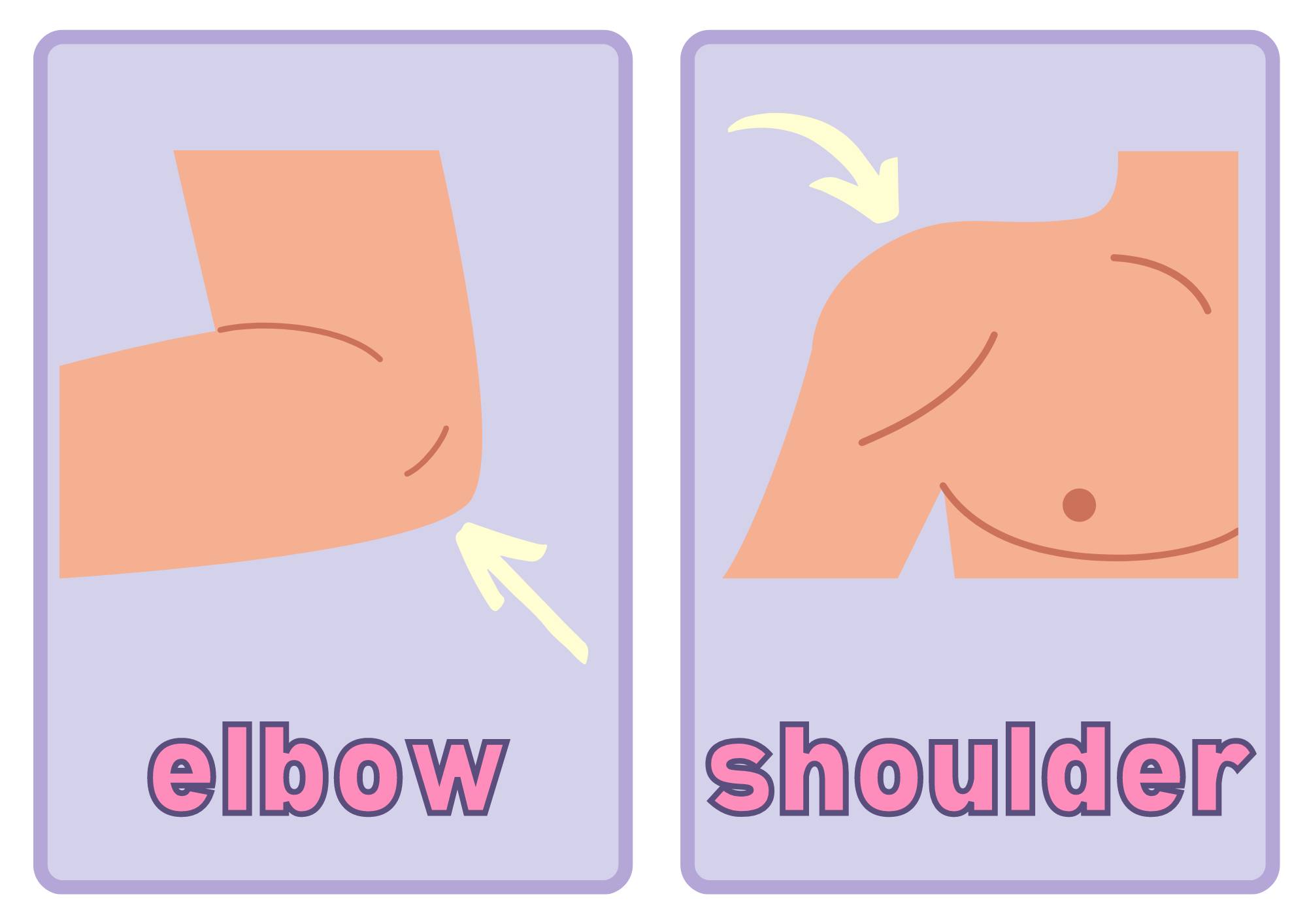 Cher - You may use these Parts of The Body Flashcard for free. You may ...