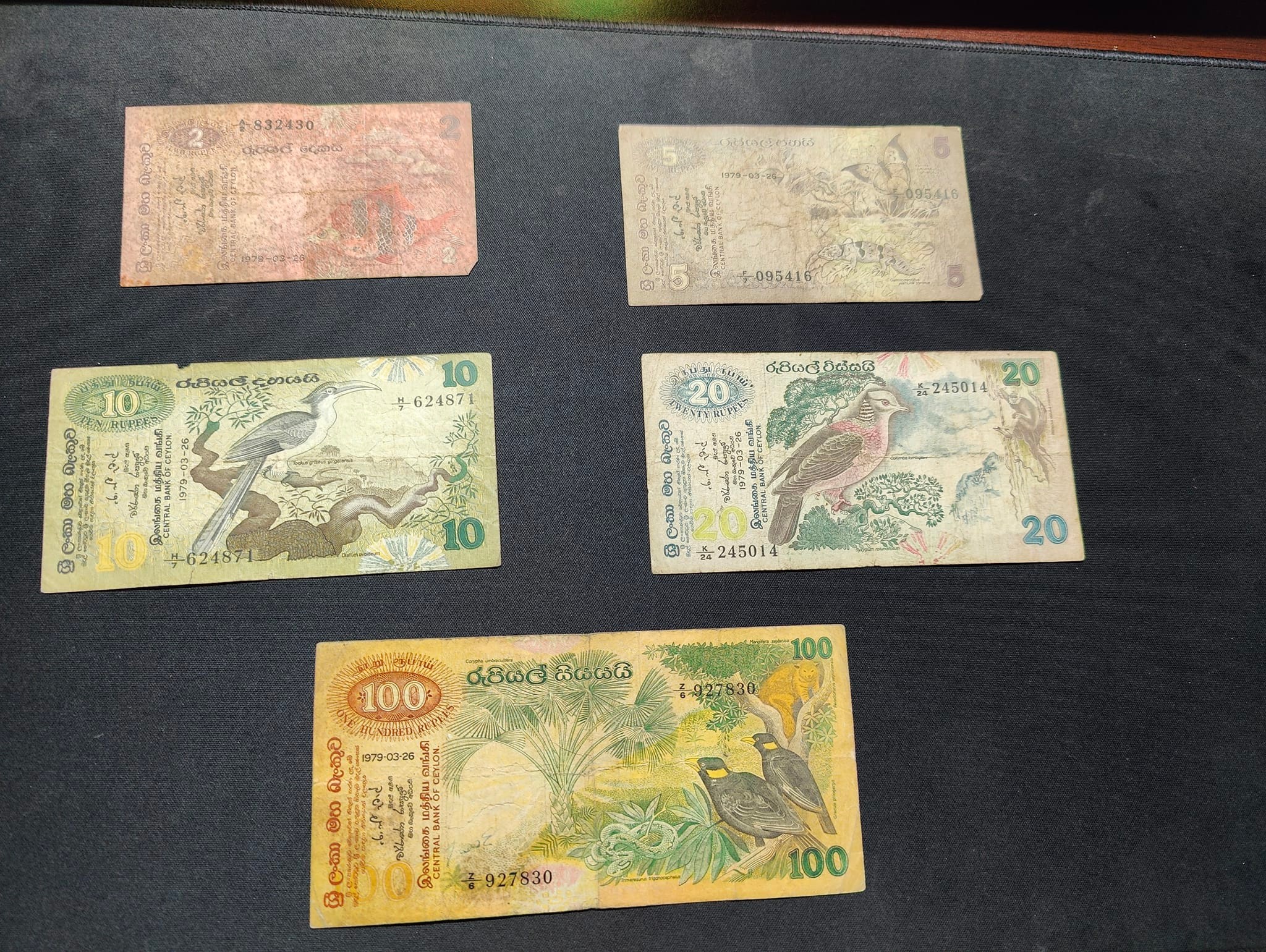 Coin & Notes Collectors Sri Lanka | Colombo