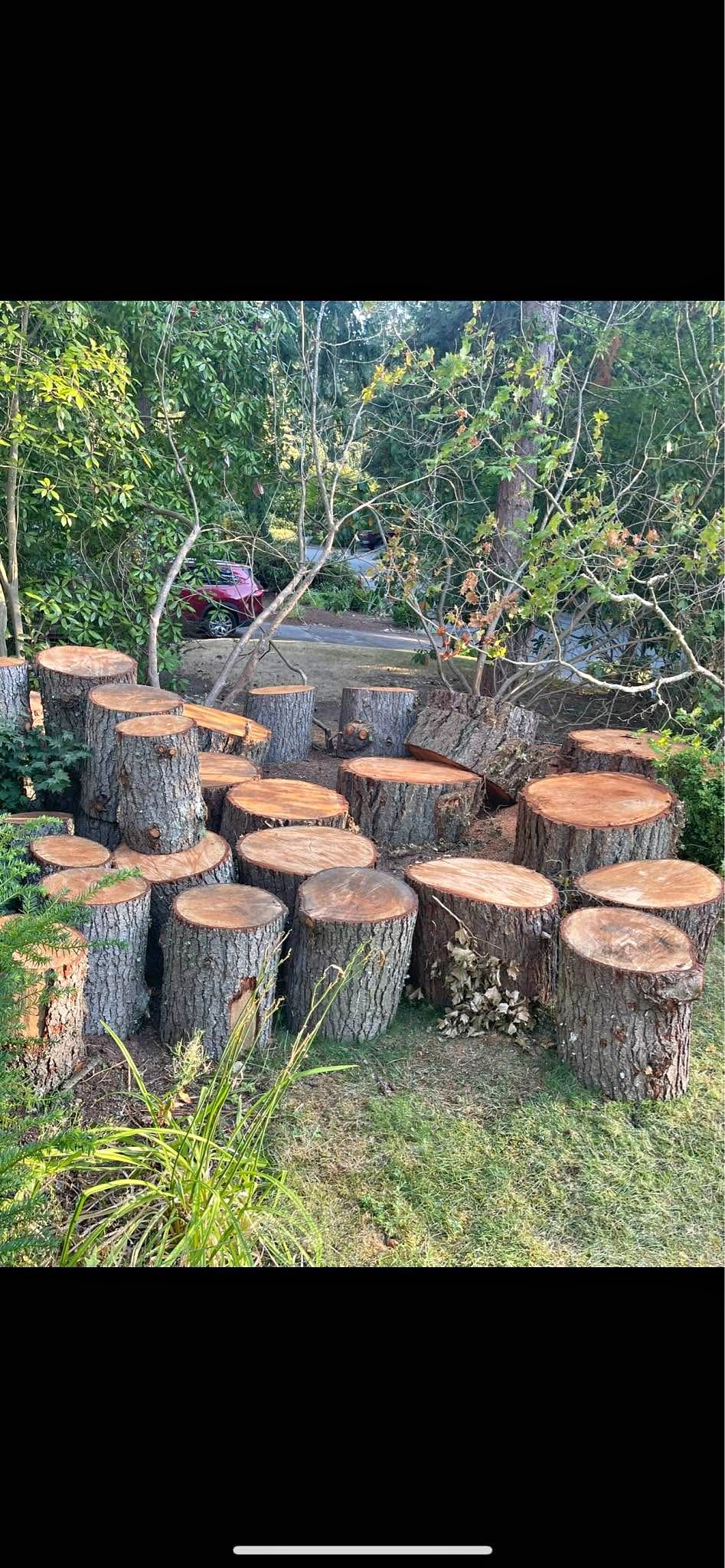 Free Firewood rounds-Douglas fir - Miscellaneous - Mill Creek ...