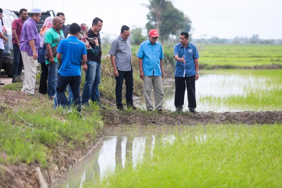 Rompin, 22 Disember... - Lembaga Pertubuhan Peladang Malaysia