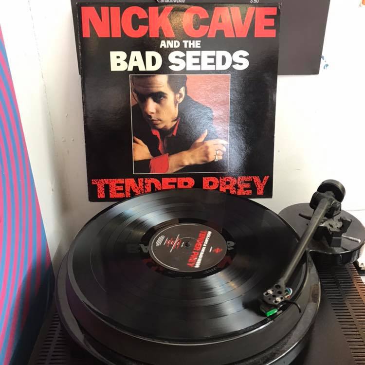 洋楽 The Bad Tender Nick Seeds Cave Prey &