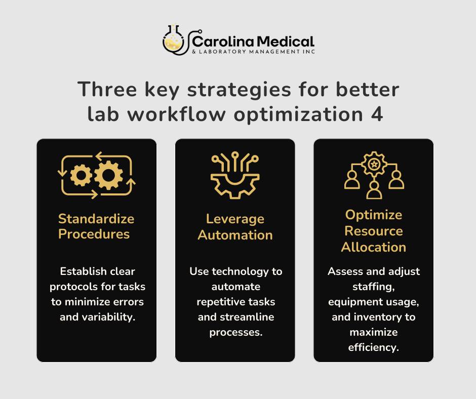 Carolina - Transform your lab into a powerhouse of productivity with ...