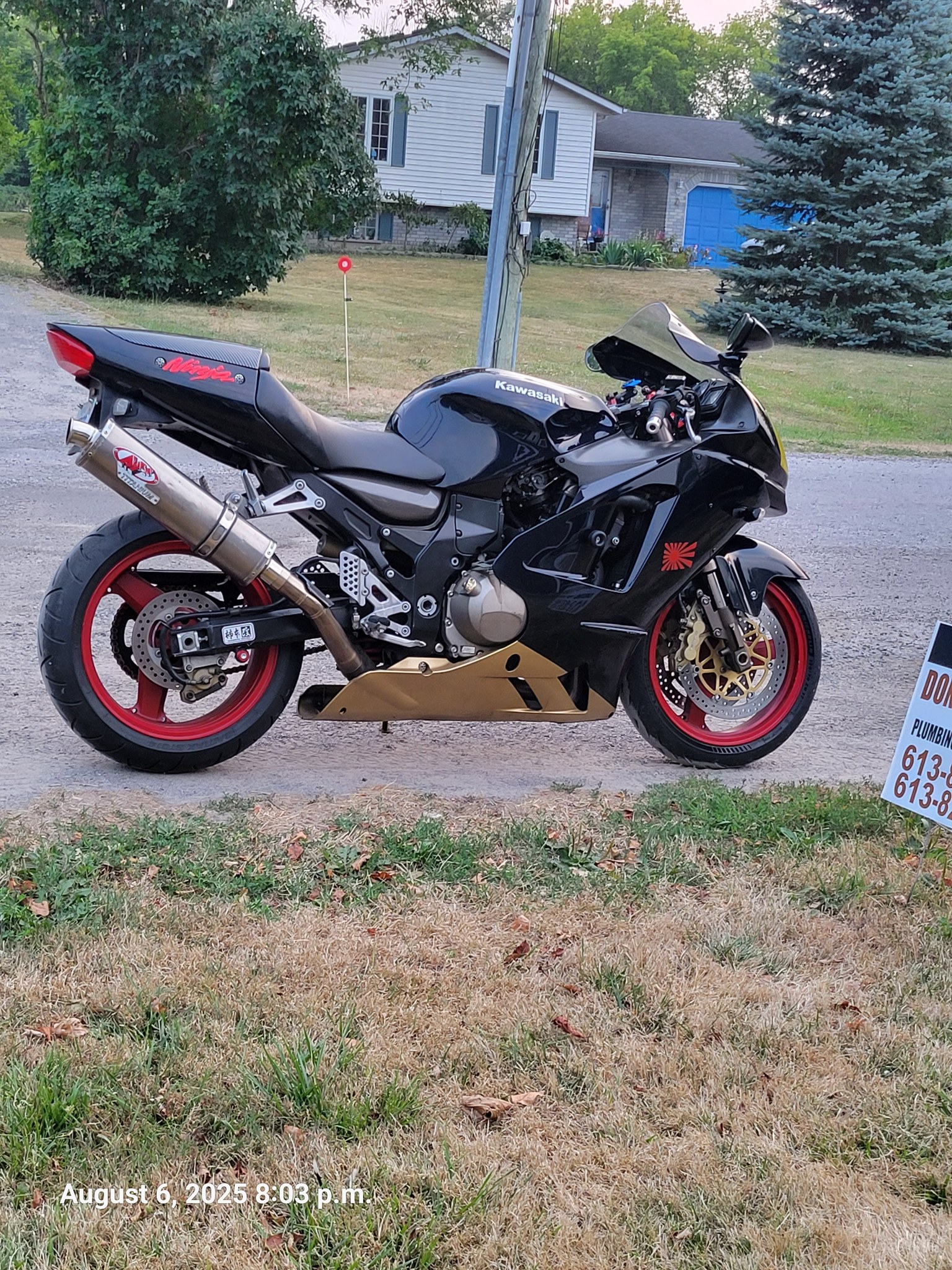 Just picked this beauty up few nights ago.