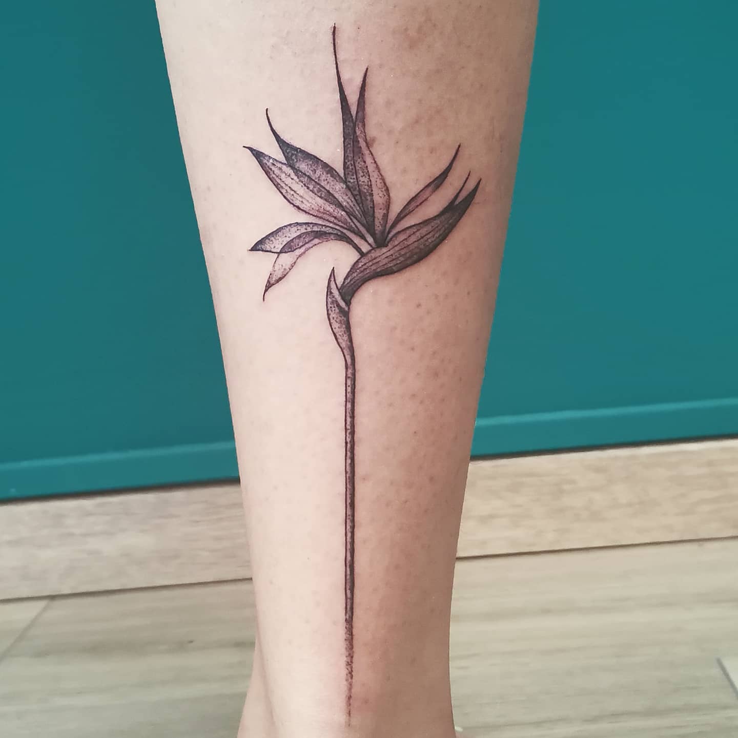 Tatouage Oiseau Du Paradis Fleur
