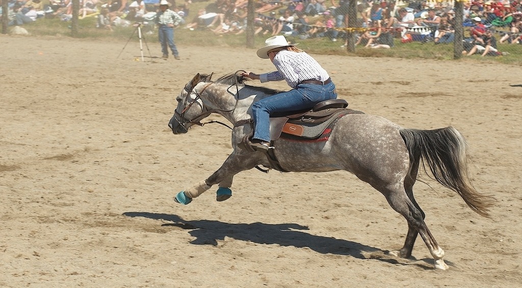 Te Anau Rodeo