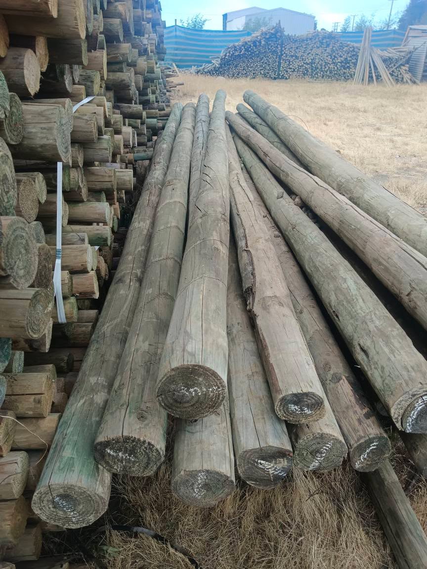 Polines nuevos y usados - Fishing - Linares, Chile | Facebook Marketplace