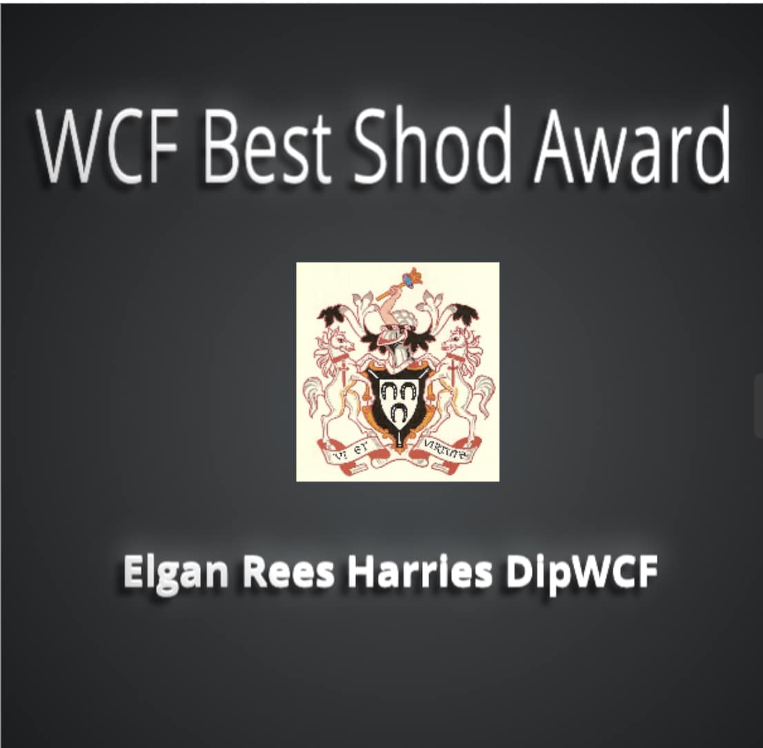 The Worshipful Company of Farriers - Congratulations to Elgan Rees ...
