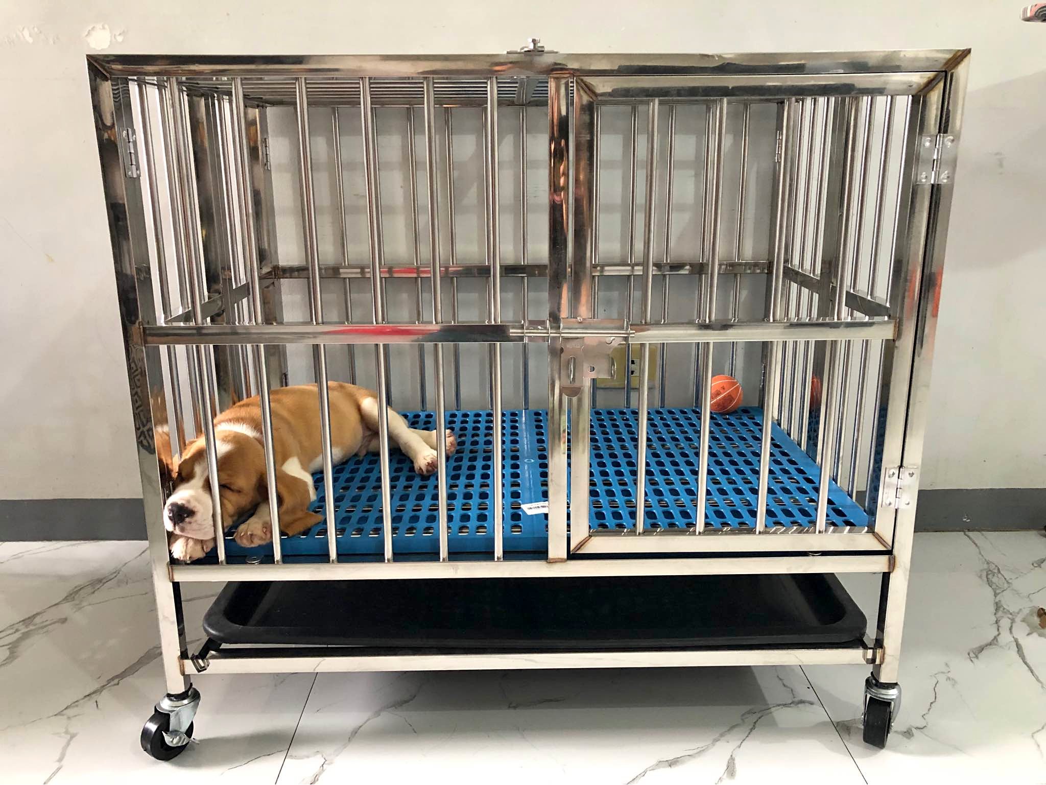 STAINLESS CAGE / KULUNGAN NG ASO - Dish Racks - Tanauan, Batangas ...