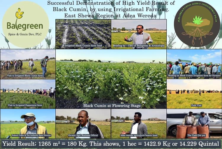 Africa Agribusiness Academy -Ethiopia | Addis Ababa