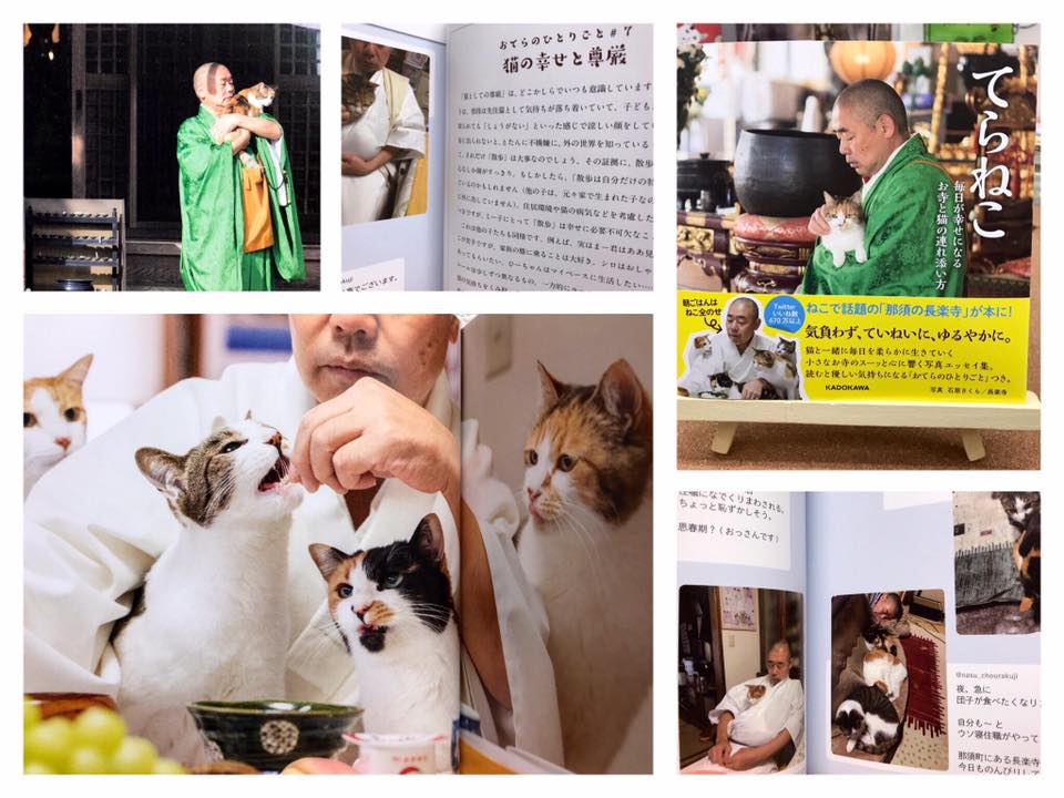 猫本専門 神保町にゃんこ堂 神保町交差点 姉川書店内 那須 長楽寺の住職の朝食は毎日とっても賑やか ねこ用のおやつも用意してくれている住職が私たちにもおすそわけ てらねこ 毎日が幸せになる お寺と猫の連れ添い方 Twitterフォロワー数6万人超 三毛猫 ミー子