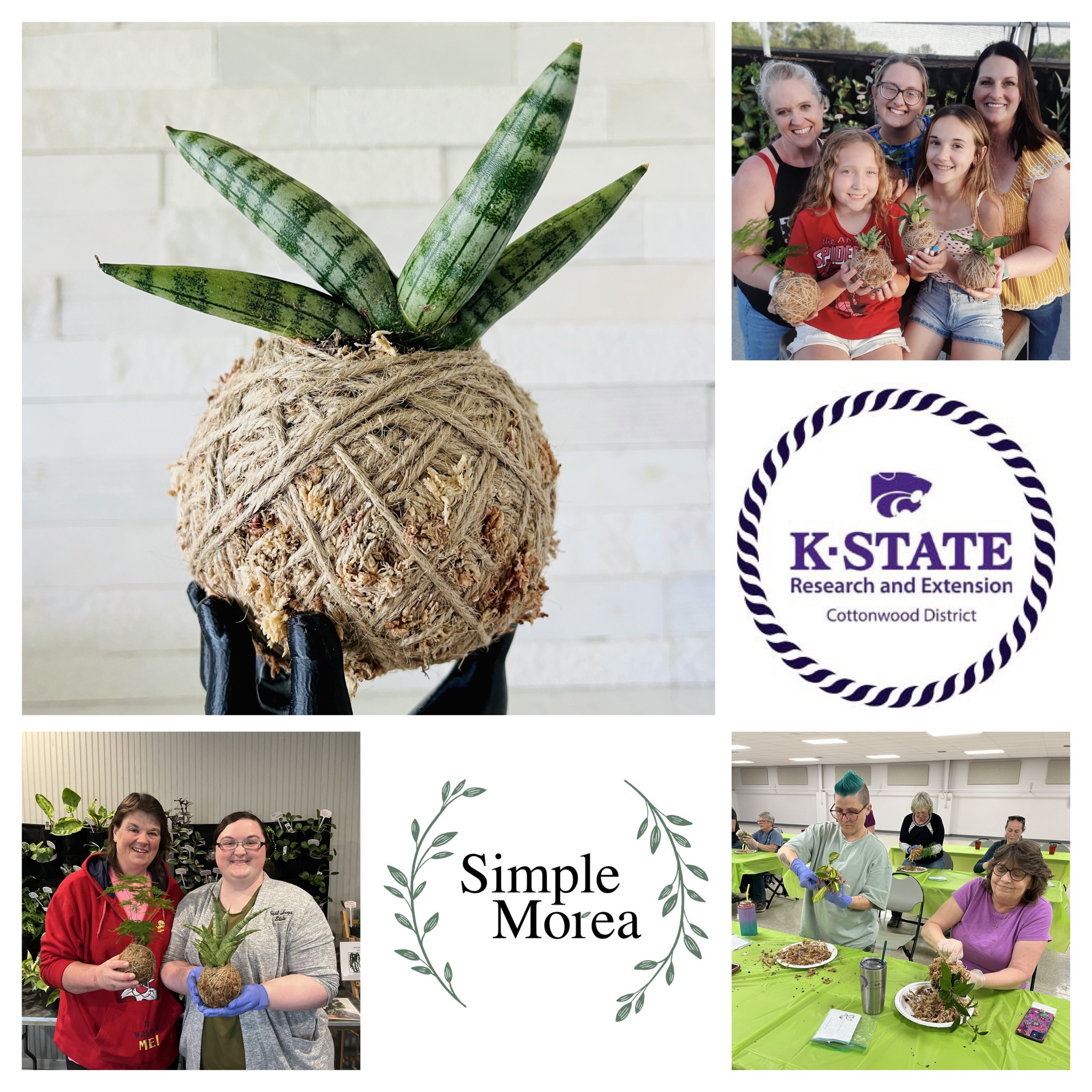 Kokedama Workshop with Simple Morea