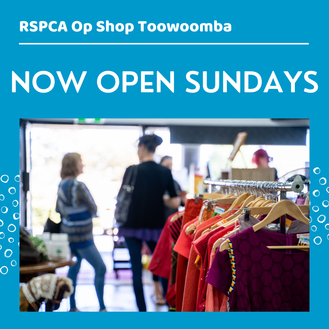 RSPCA - 🥳🥳 TOOWOOMBA - WE ARE OPEN SUNDAYS 🥳🥳 The RSPCA Op Shop is now ...