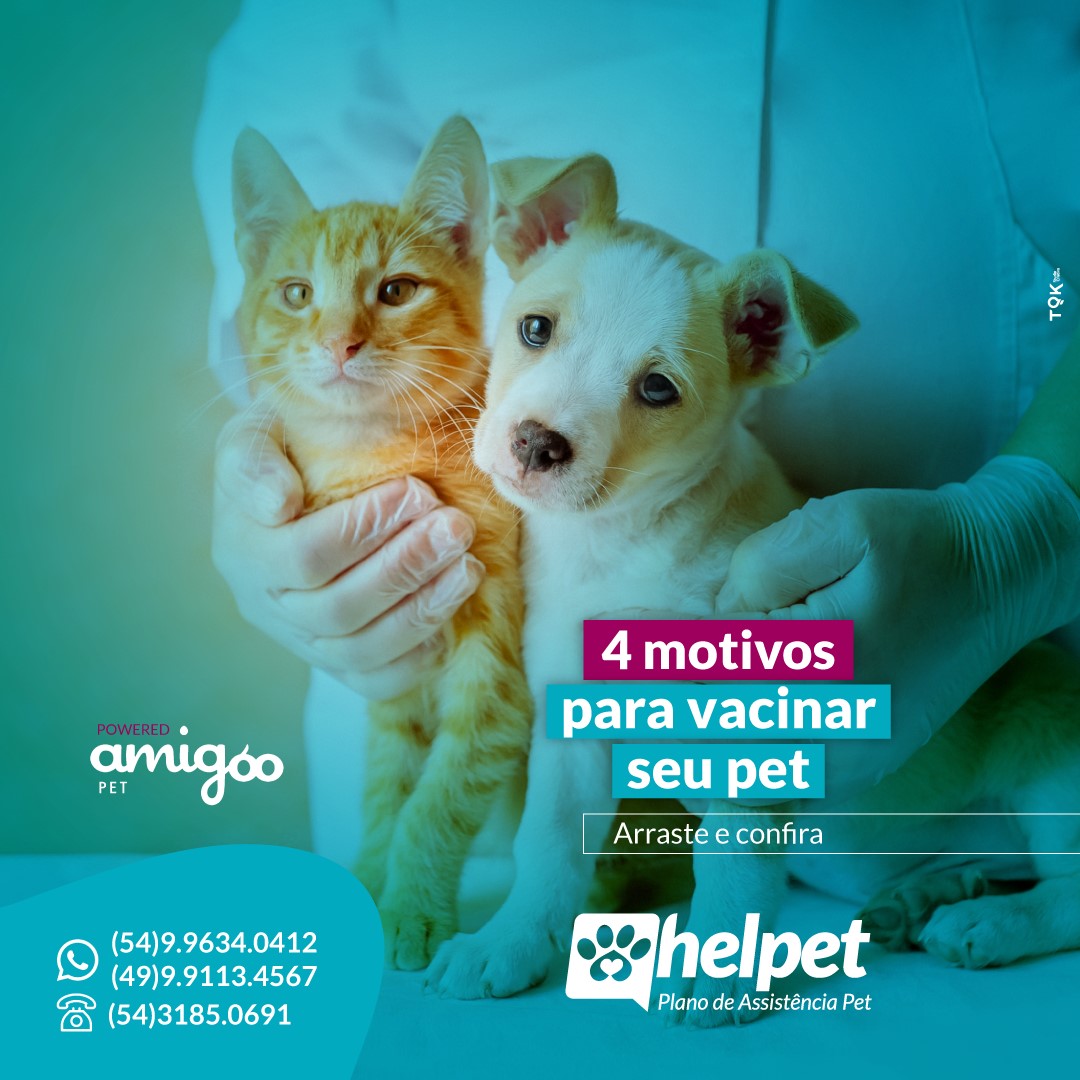 Assim como os humanos,... - Helpet -Plano de Assitência PET
