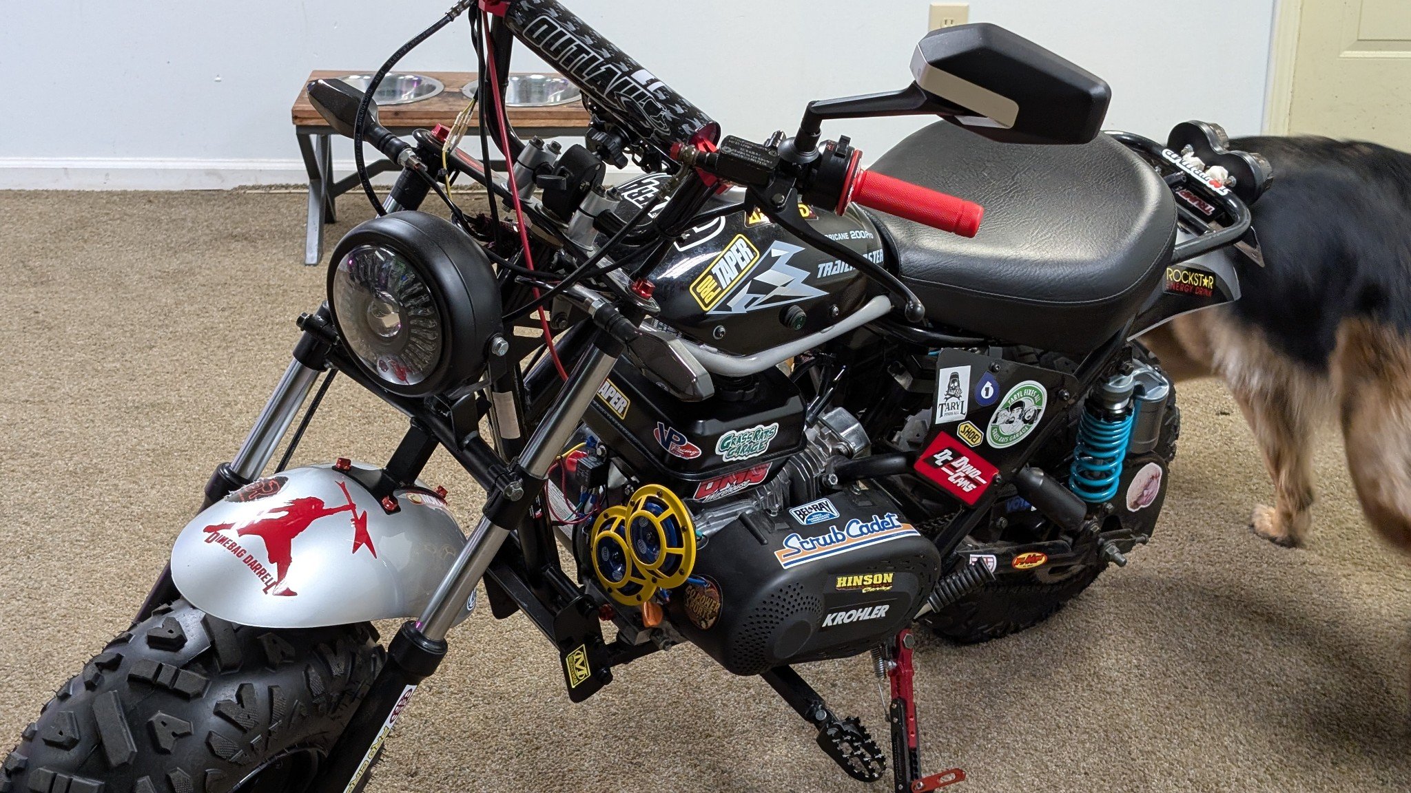 Mini Bike Nation | Got a question for y'all got a predator high ...