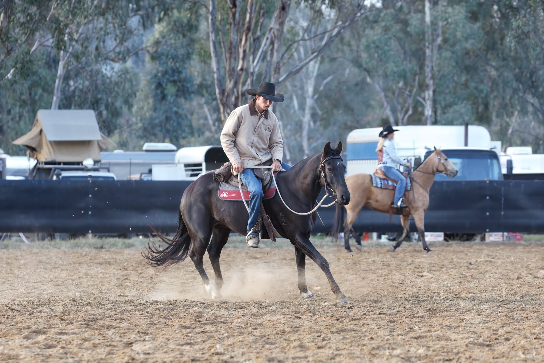Tungarra Stud & Photography