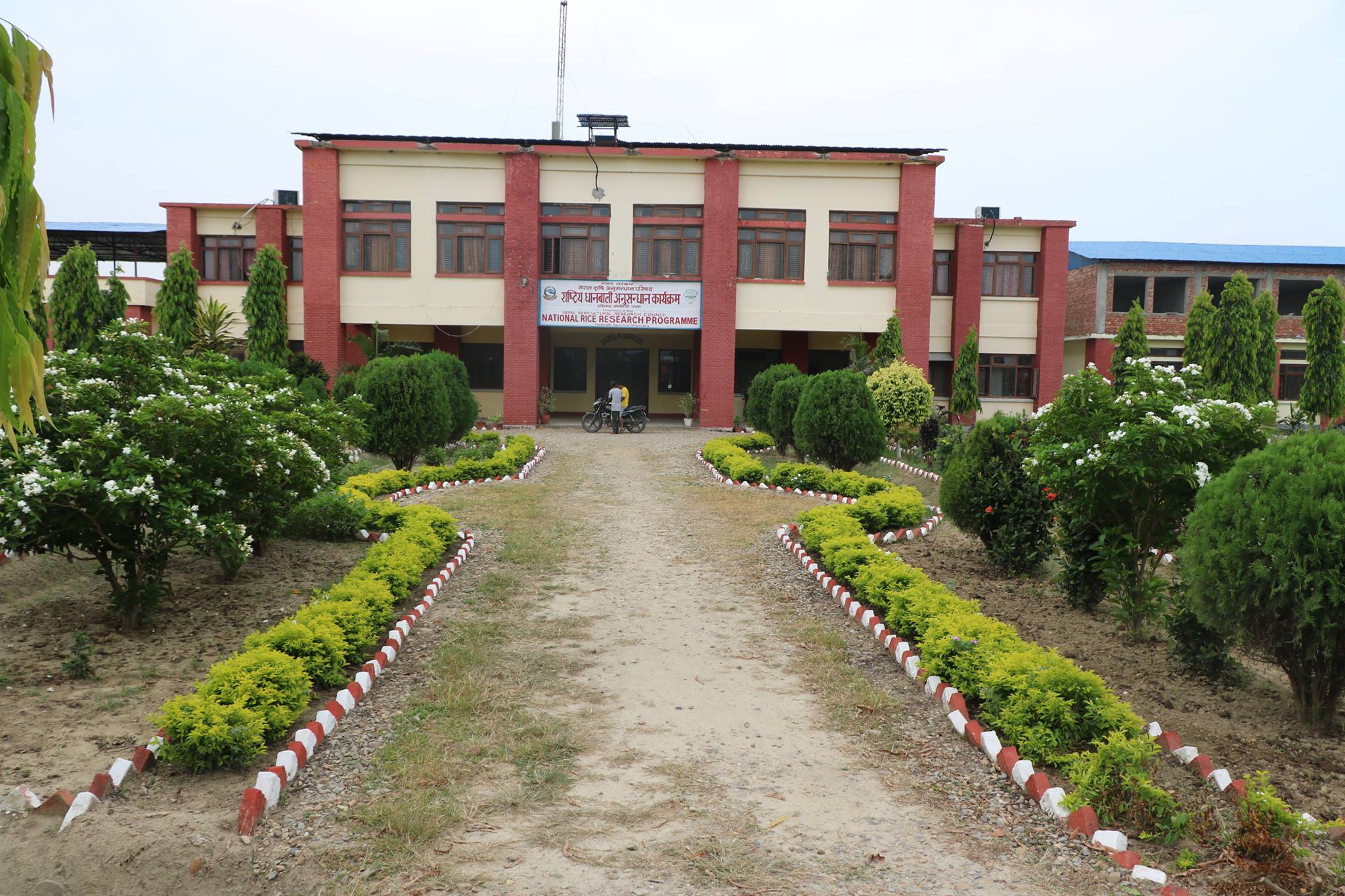 National Rice Research Program- NRRP | Janakpur