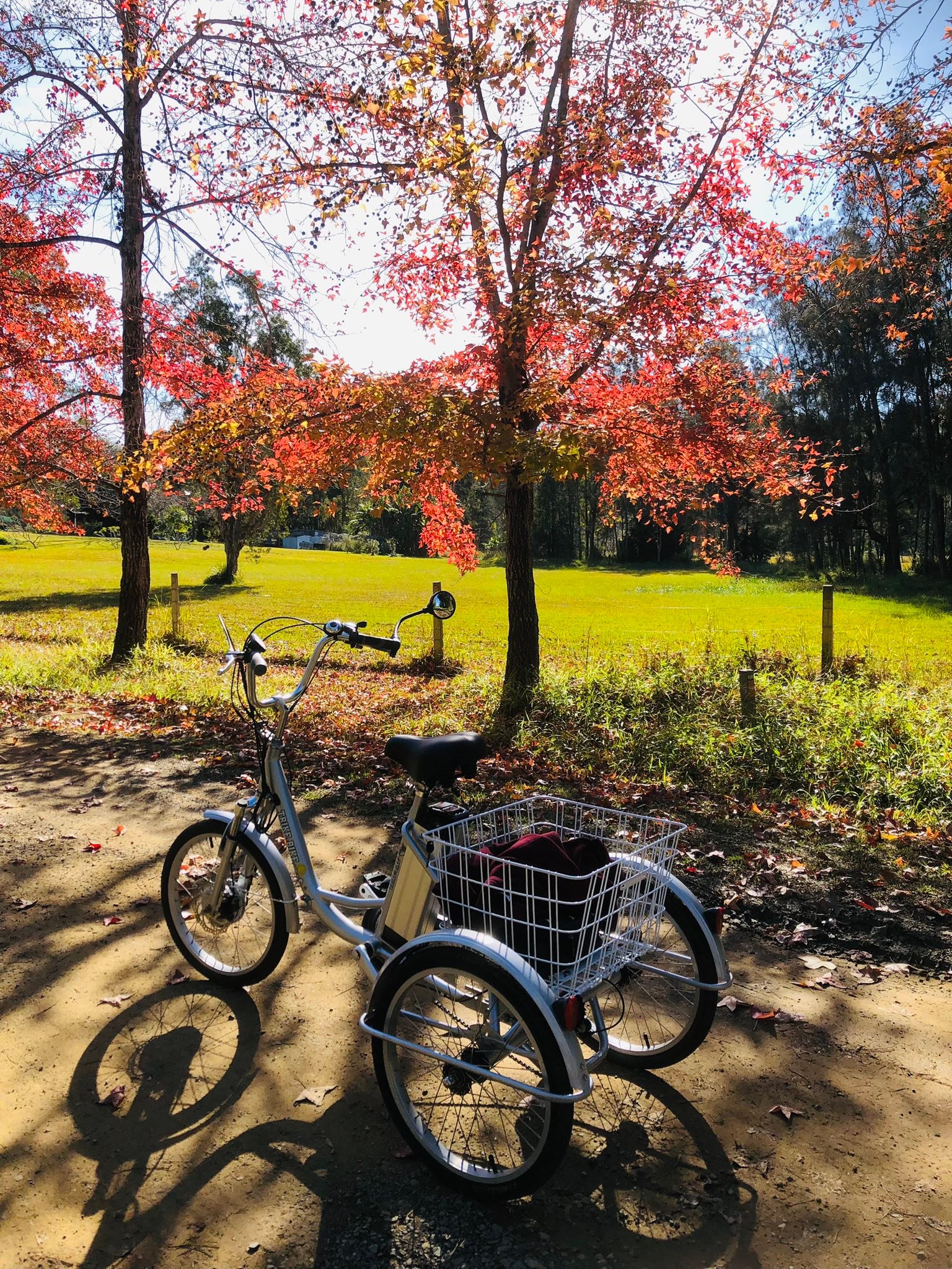 3 wheel bicycles for adults australia ALSTON 3-Wheel Adult Tricycle 7-Speed 26 Inch Trike Three Bike Large Load Capacity with Front/Rear Brakes Padded Seat Rear Basket Free Lock Toys & Games It is also a great choice for the elders to move around Best 5 Three-Wheel Electric Bikes