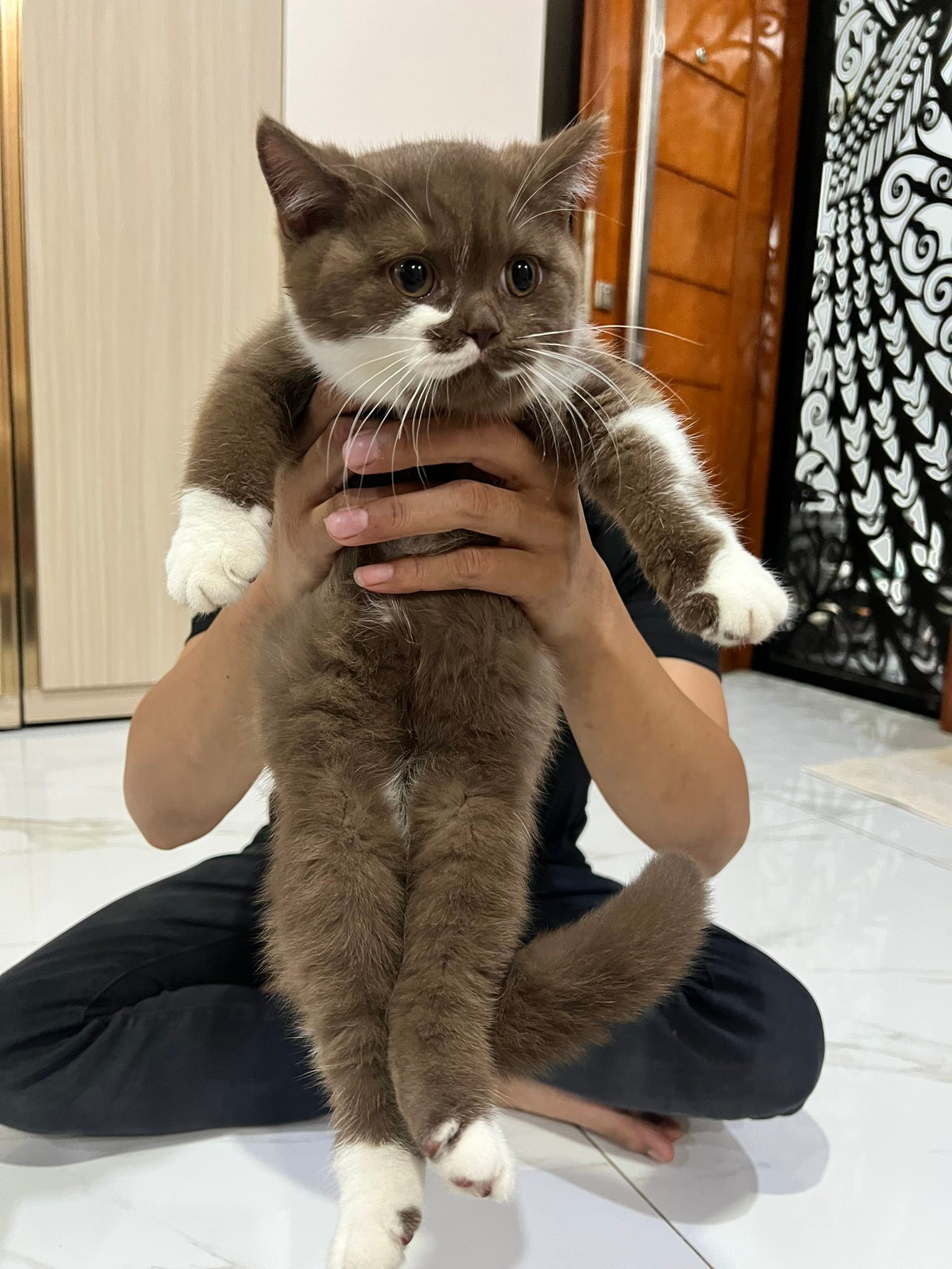 BSH CINNAMON | Facebook
