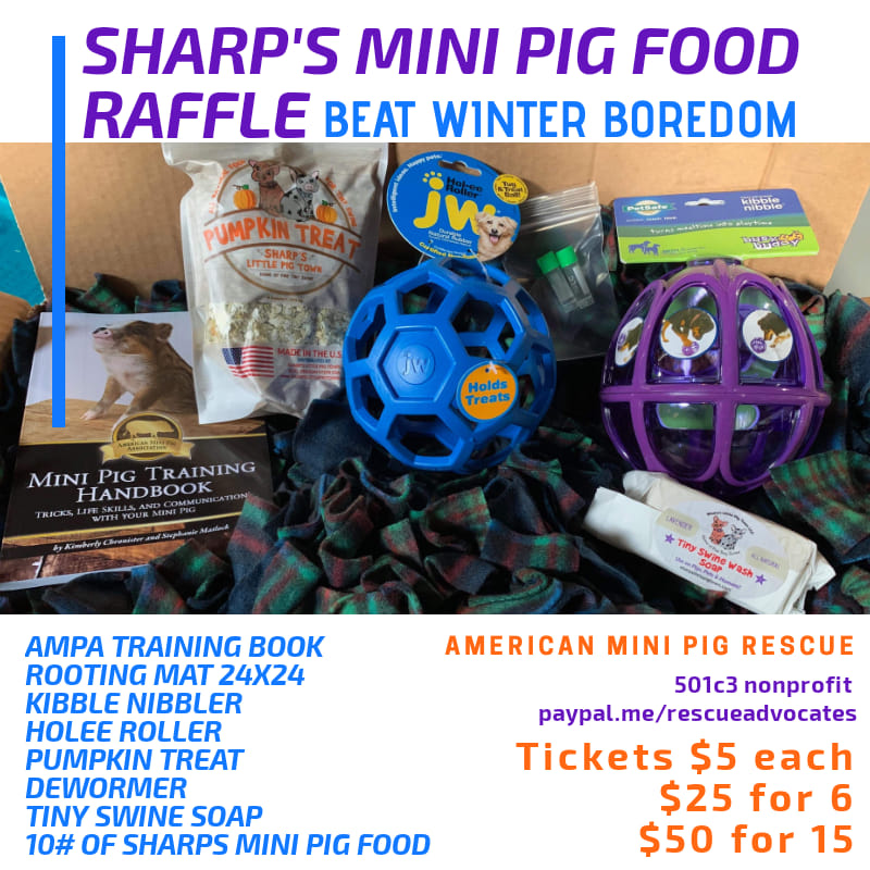 American - Sharp's Mini Pig Food is hosting a raffle for the American ...