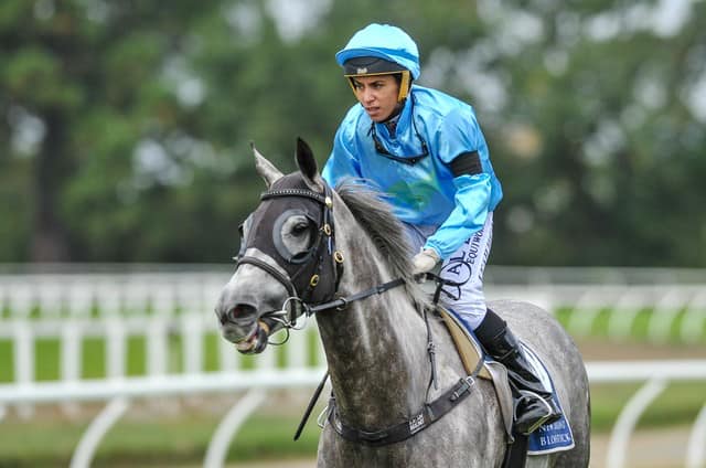 Ridley Racing - Racing today at Riccarton with two runners...