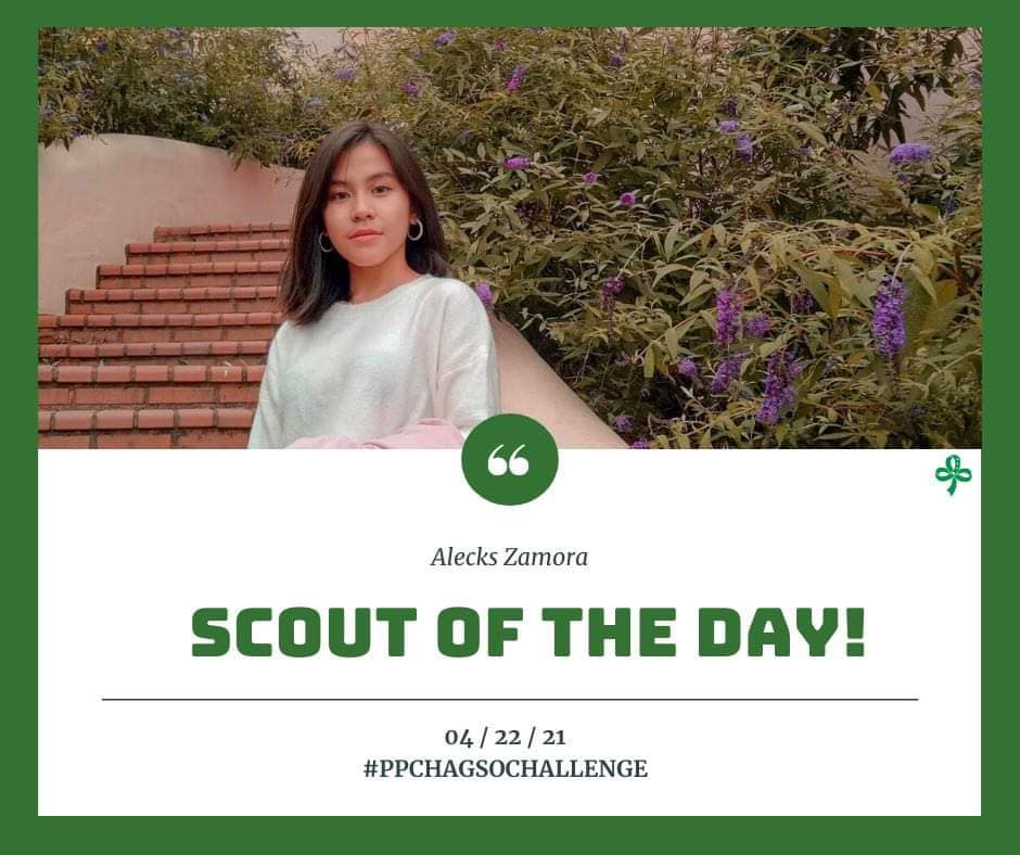 PPCHA Girl Scout Organization