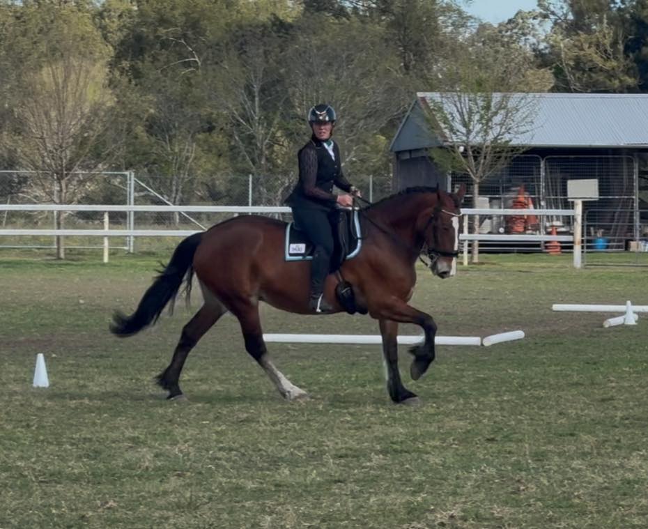 Emily Rowney - 🐴 Attention horsey friends! 🐴 I’m on the... | Facebook
