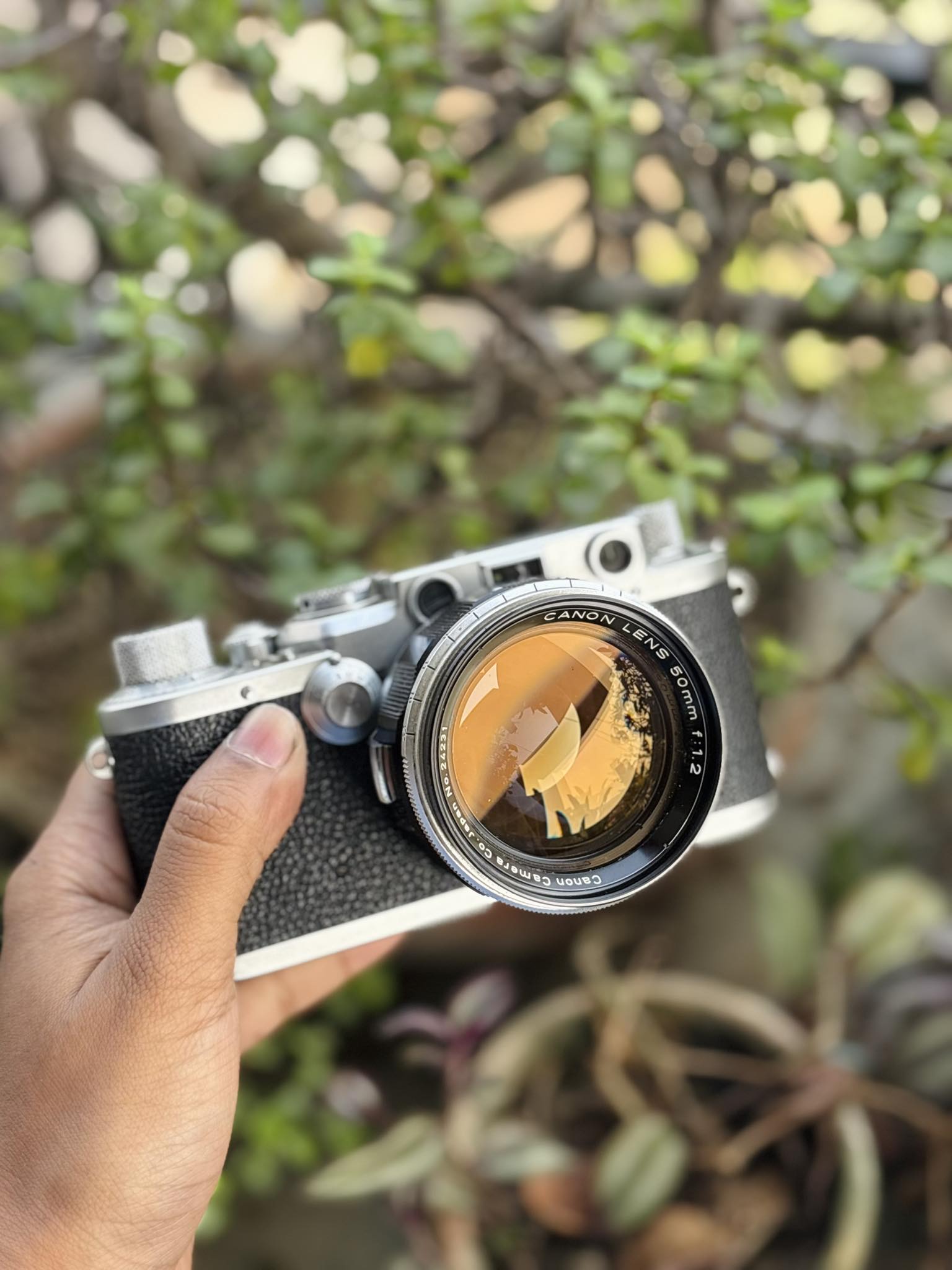 Leica IIIf with Canon Serenar 35mm f/3.5 lens