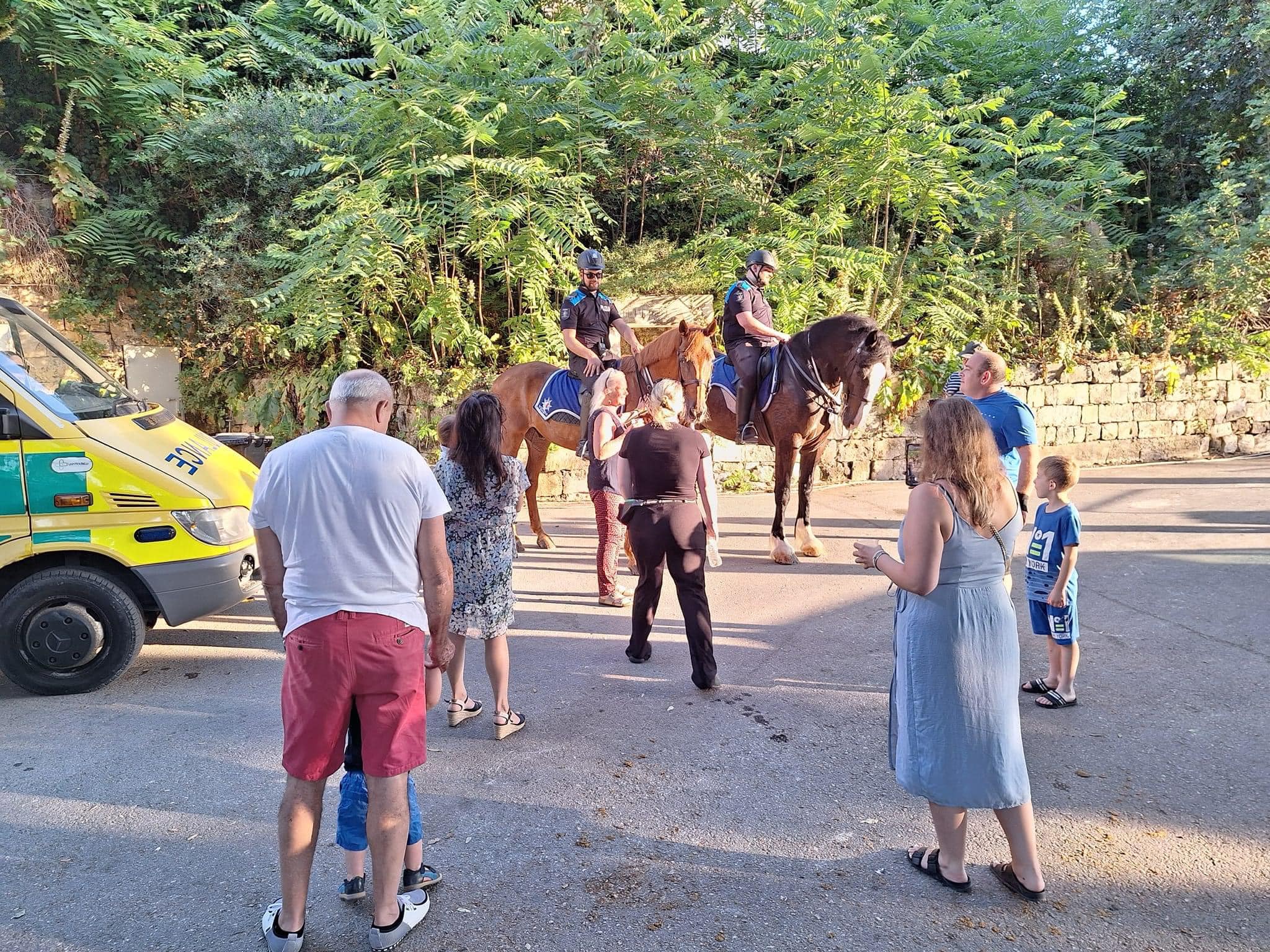 #maltapolice Mounted Section is... - The Malta Police Force | Facebook