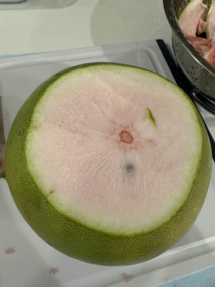 Pomelo yield and taste comparison